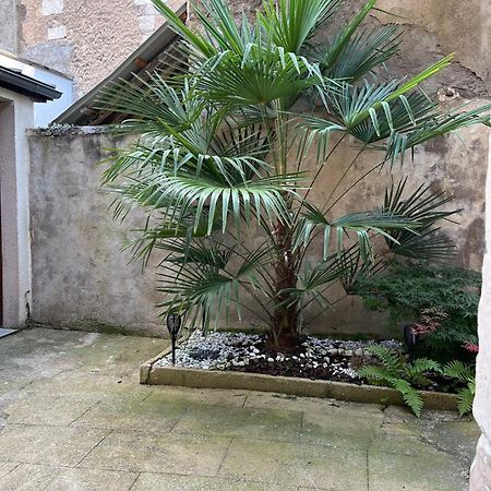 Cosy Appartement Hyper Centre Ville Avec Cour + Patio 欧塞尔 外观 照片