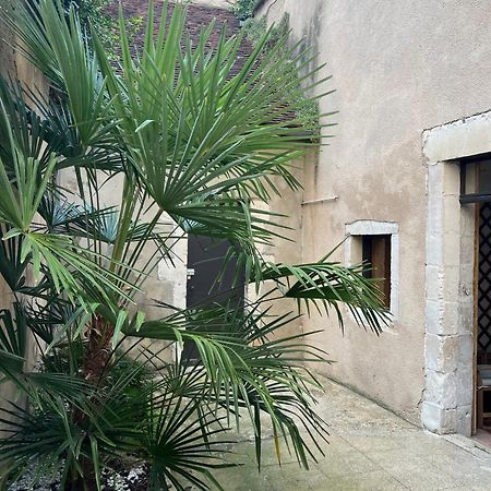 Cosy Appartement Hyper Centre Ville Avec Cour + Patio 欧塞尔 外观 照片