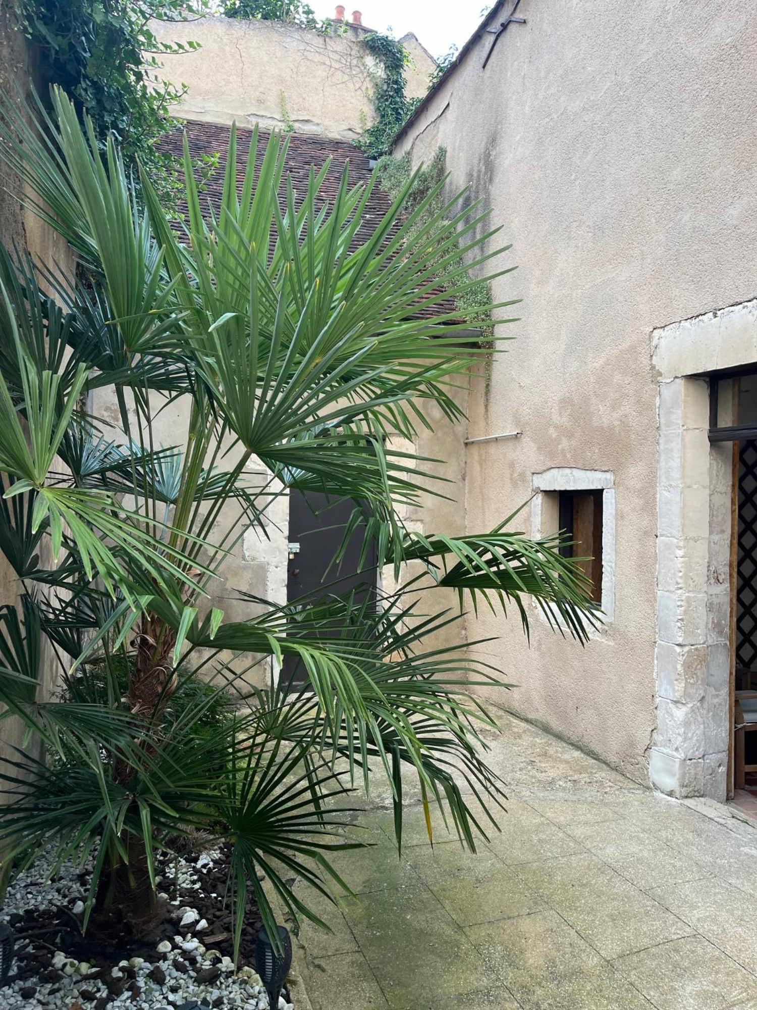 Cosy Appartement Hyper Centre Ville Avec Cour + Patio 欧塞尔 外观 照片